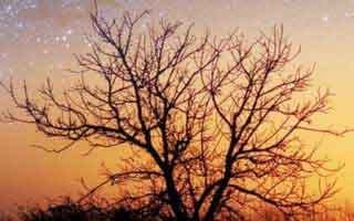 DeFi's Post-October Crash & The Road to 2025: Unpacking Investor Trends and Charting the Future of Finance