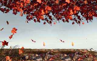 DeFi's Post-October Crash & The Road to 2025: Unpacking Investor Trends and Charting the Future of Finance